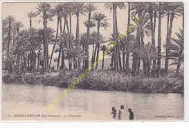 Cpa Algerie Colomb Bechar La Plameraie Edit P S Ebay Alger