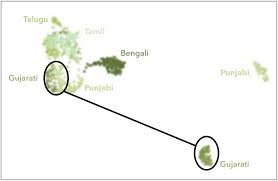 Words for family members and other relatives in bengali. Endogamous Meaning In Bengali