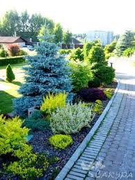 52 Fresh Front Yard And Backyard Landscaping Ideas For 2019 Garden Landscape Design Conifers Garden Front Yard Landscaping
