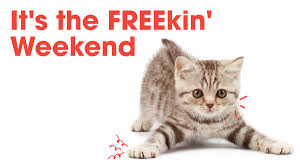 Dog & cat adoption, pet rescue in georgia helping atlanta pets through our pet rescue services; Ehpzuwf8fla 4m