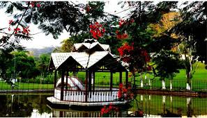Sitio Hebrom - Guapimirim RJ