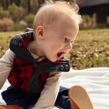 William Probus (@williamprobus) • Instagram photos and videos