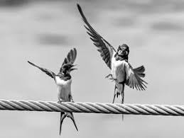 Maybe you would like to learn more about one of these? Actualite De Printemps Du Droit Des Entreprises En Difficulte Dalloz Actualite