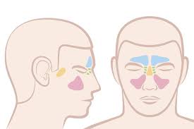 When should i expect to be able to go out in public after a nose job, and when will the bandages come off? Nasal Polyps When A Doctor May Recommend To Have Them Removed My Sinusitis