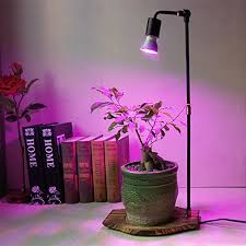 30w Full Spectrum Led Plant Grow Lights Table Desk Lamp E27 220v For Home Indoor Plants Growing The Bud Academy