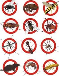 See who in the little ferry area might be looking for a customer like you. Pest Control Bergen County Pest Exterminator Nj Pest Management