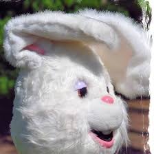 What's the easter bunny's phone number. The Real Easter Bunny Community Facebook