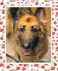 Our veterinary office is located in burlington, wisconsin. Hilton Veterinary Clinic Of Ferndale Hiltonpetvet Twitter