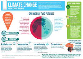 Climate Change Climate Change Infographic Climate Change Infographic