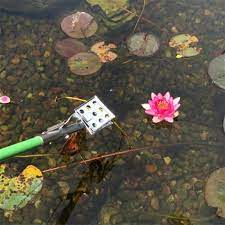 Check spelling or type a new query. Trimming Aquatic Plants The Pond Guy