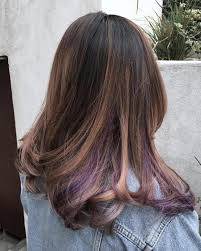 Probably, the best thing about peekaboo hair is that you're not limited to any color or certain placement. 60 Stunning Dark And Light Brown Hair With Highlights Ideas Underlights Hair Purple Brown Hair Hair Styles