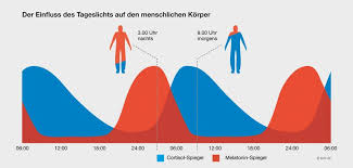 Ist die sogenannte innere uhr wirklich nur von innen gesteuert? Die Innere Uhr Licht De