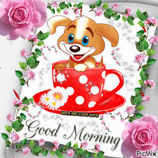 100 Beautiful Good Morning Gifs The best gifs for good morning. 100 beautiful good morning gifs