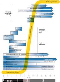 The colours were constantly swirling around in the lights. Frontiers A Dynamic Systems Framework For Gender Sex Development From Sensory Input In Infancy To Subjective Certainty In Toddlerhood Human Neuroscience