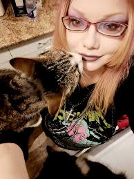 Rescue kittens found