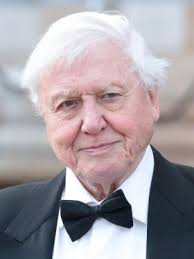 Naturalist and tv host david attenborough has claimed the record for shortest time to reach 1 million followers on instagram, racking up the numbers just hours after joining the social media platform. The Attenborough Eye Worm Argument Against God Creation Com