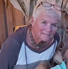 Fancy, registered half arab unicorn for breeding