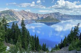 Image result for Craterostigma newtonii