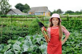 What was the value of 40 acres in 1900? How Many Acres Do You Need For A Hobby Farm Or Homestead