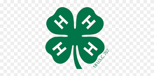 There are only 1 out of every 10,000 three leaf guys! 4 H Clover Printable 4 H Logo Clipart 5729928 Pinclipart