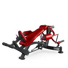 Aug 12, 2020 · paolo bertolucci: Used Panatta Gym Equipment Promotions