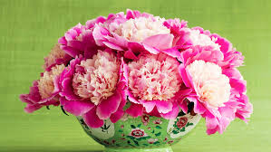 Founded by @marthastewart48 #homeschoolwithmartha link in bio like2b.uy/marthastewart. New Beautiful Blooms How To Book Martha Stewart Beautifulnow
