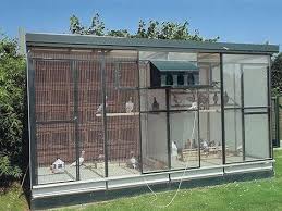 Image Result For Pigeon Lofts Coops Plans Pigeon Loft Pigeon Loft Design Racing Pigeon Lofts