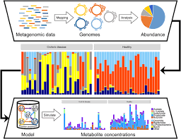 37 видео 719 просмотров обновлен 29 июл. From Metagenomic Data To Personalized In Silico Microbiotas Predicting Dietary Supplements For Crohn S Disease Npj Systems Biology And Applications