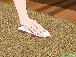 Do not wring or twist the wet fabric. How To Clean A Jute Rug 9 Steps With Pictures Wikihow