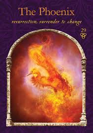 She has shared the stage with authors sylvia browne, john holland, caroline myss, and many others. Oracle Card The Phoenix Ramblings Of The Claury