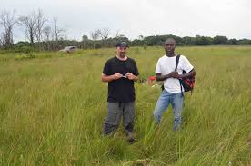 Image result for Gerardiina angolensis