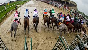 2017 Preakness Stakes Cheat Sheet Americas Best Racing