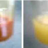 A positive result is indicated by a cream precipitate. Wagner S Test And Mayer S Test Results For Confirmation Of Alkaloid Download Scientific Diagram