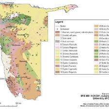 Image result for Dalbergia martinii