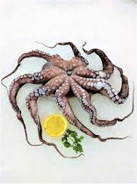 Some will say that also adding a wine cork (yes a wine cork) will ensure a tender octopus. Pulpo Octopus Frisch Ca 1200 G