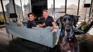 Receive guest reviews and be in the running to win a five paws award celebrating australia's best pet friendly accommodation. Who Says You Can T Keep A Great Dane In A City Apartment