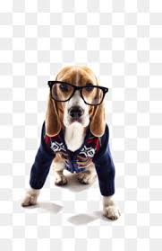 We did not find results for: Jack Russell Terrier Png Jack Russell Terrier Silhouette Jack Russell Terrier Vector Cartoon Jack Russell Terrier Jack Russell Terrier Toto Jack Russell Terrier Wearing Shoes Jack Russell Terrier Art Outline Jack Russell Terrier Puppies Jack Russell