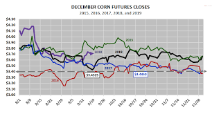 U S Corn Futures Price Outlook Holding Pattern Until