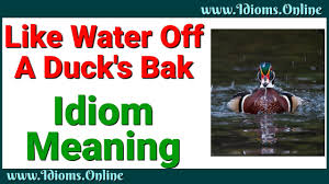 Let it roll like water off a duck's back. Water Off A Duck S Back Like Idioms Online
