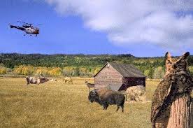 Interior Plains Canada Pacific Ocean Social Studies