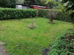 We did not find results for: Pachter Grundstucke Garten Mieten Und Kaufen In Hamburg Ebay Kleinanzeigen