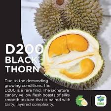 The arils are average size with thick flesh. Anak Benih Pokok Durian Duri Hitam Beautygardennursery Facebook