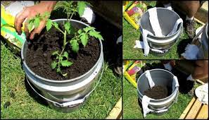 We did not find results for: Learn How To Make A Self Watering Tomato Planter Your Projects Obn