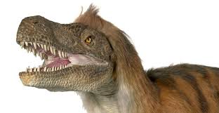 Vicious Velociraptor Tales Of A Turkey Sized Dinosaur