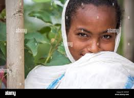 Mizan hi-res stock photography and images