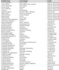 Image result for Cleistochlamys