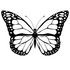 Set black white butterflies of a ta. Butterfly Clipart Black And White 49 Cliparts