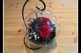 Sans entretien, la rose éternelle sous cloche est un cadeau immortelle. La Rose Eternelle Vous Connaissez