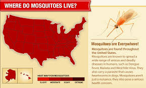 Select pest & shop pest control supply. Diy Mosquito Treatment Saves Big Money Save Outside The Box