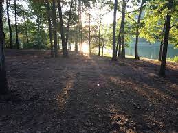 We did not find results for: View From Campsite Picture Of Lake Hartwell Camping And Cabins Townville Tripadvisor